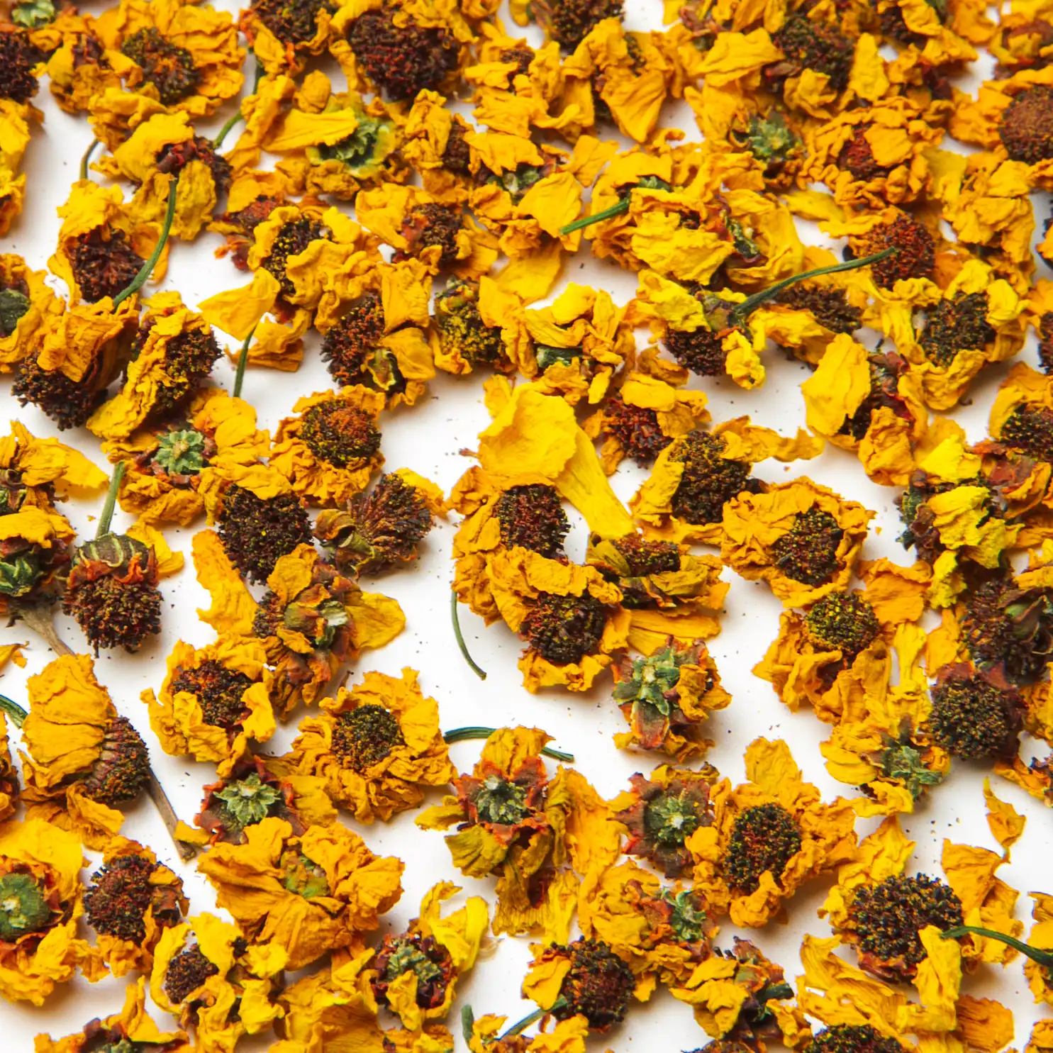 Тибетская Ромашка